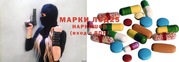 винт Пересвет