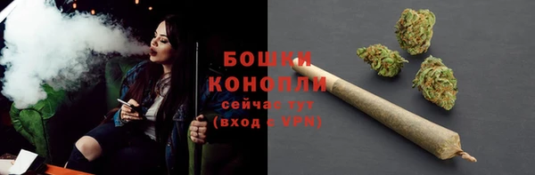 винт Пересвет