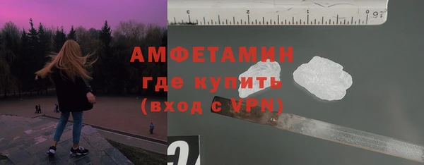 винт Пересвет