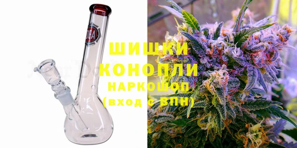 винт Пересвет