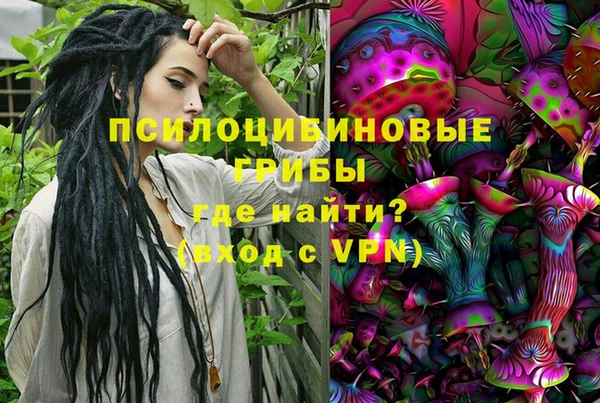 винт Пересвет