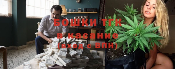 винт Пересвет