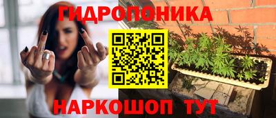 гидропоника Берёзовский