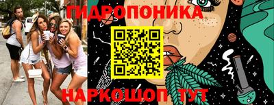 гидропоника Берёзовский