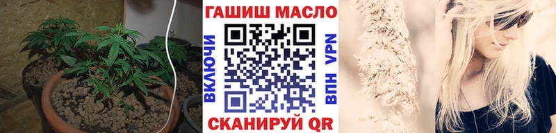 ТГК Wax  Курчатов 