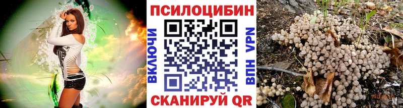 даркнет сайт  Курчатов  Галлюциногенные грибы мухоморы 