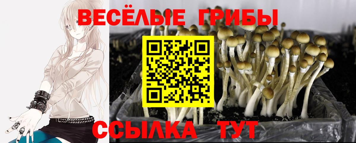 Курчатов  АМФЕТАМИН   КОКАИН  APVP СОЛЬ кристаллы  Мефедрон   NBOMe  Кокаин  МЕТАМФЕТАМИН  Каннабис 