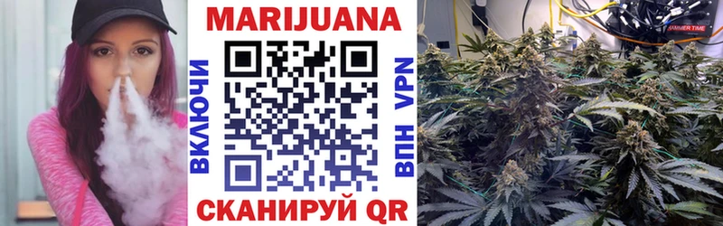 Каннабис SATIVA & INDICA Курчатов
